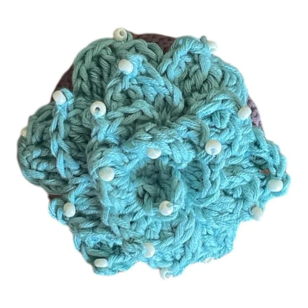 Crochet Succulent with Beads Small Succulent in Pot Desk Decor Handmade Gift